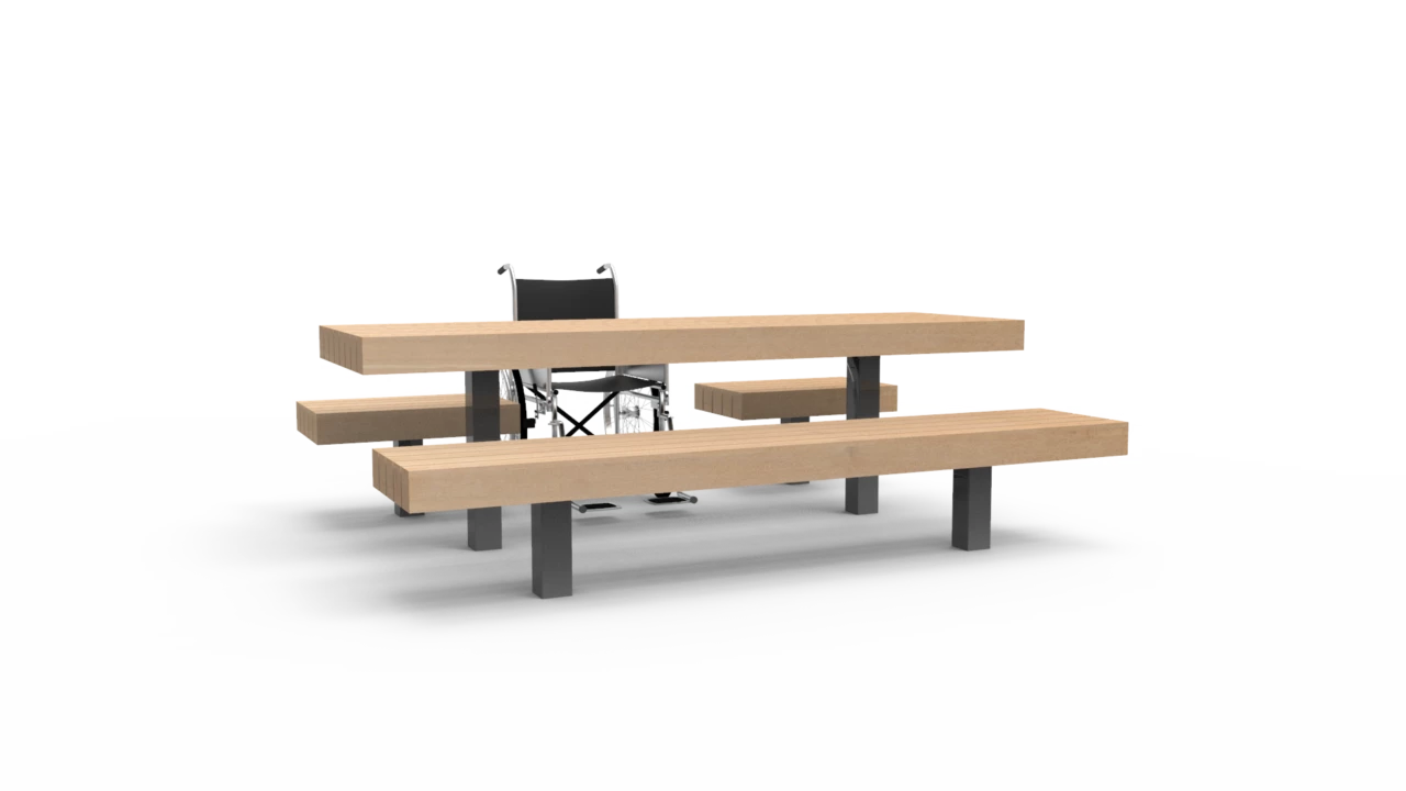 Picknickset met rolstoelplek 2