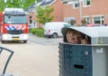 Jongen opgesloten in prullenbak op straat - Straatmeubilair van Grijsen Park en Straatdesign