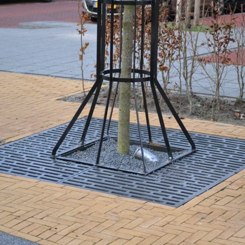 Random Baumroste Grijsen