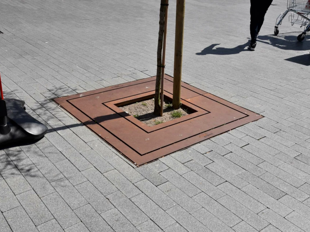 Boomrooster Square voor de openbare ruimte