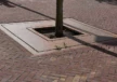 Referentiefoto Square boomrooster Grijsen 4