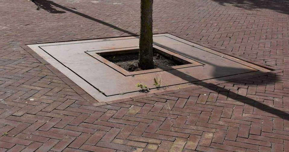 Referentiefoto Square boomrooster Grijsen 4