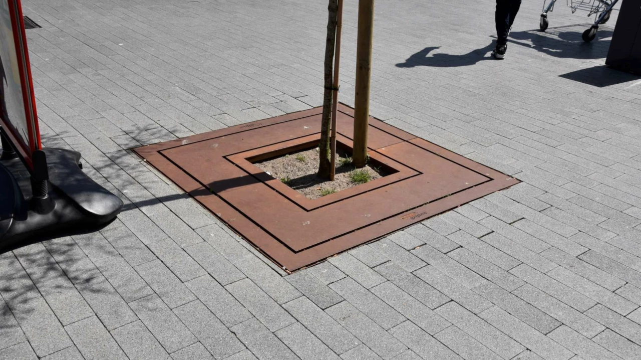 Boomrooster Square voor de openbare ruimte