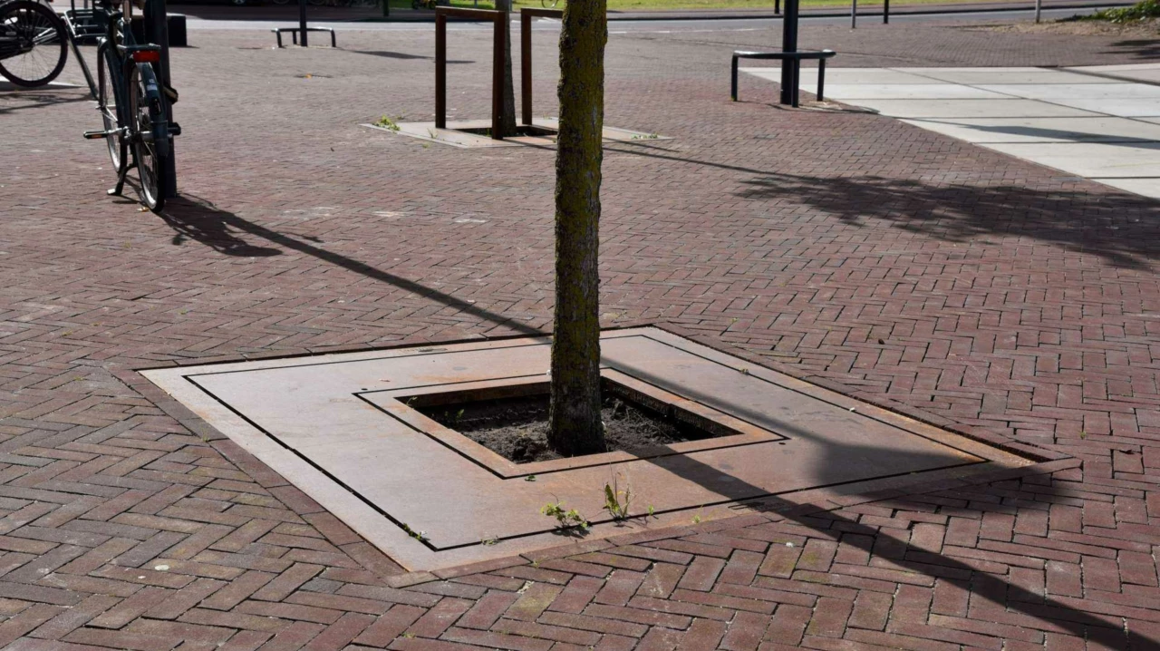 Boomrooster Square voor de openbare ruimte