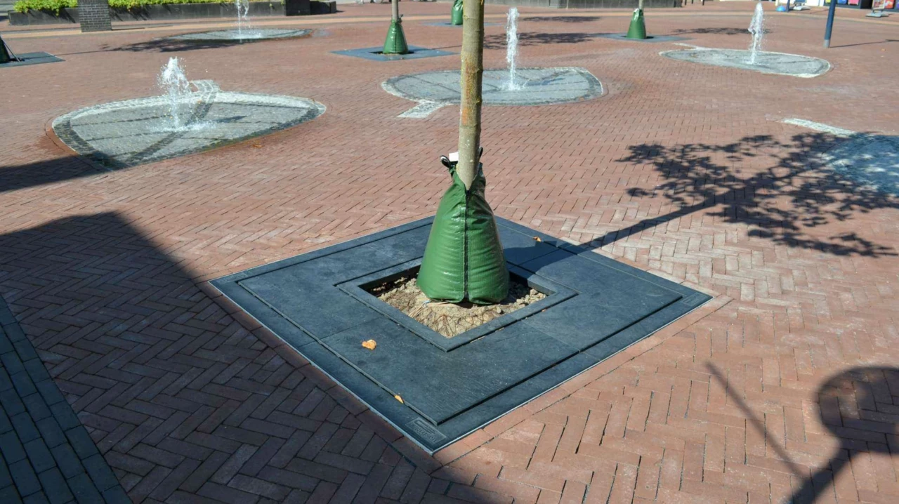 Boomrooster Square voor de openbare ruimte
