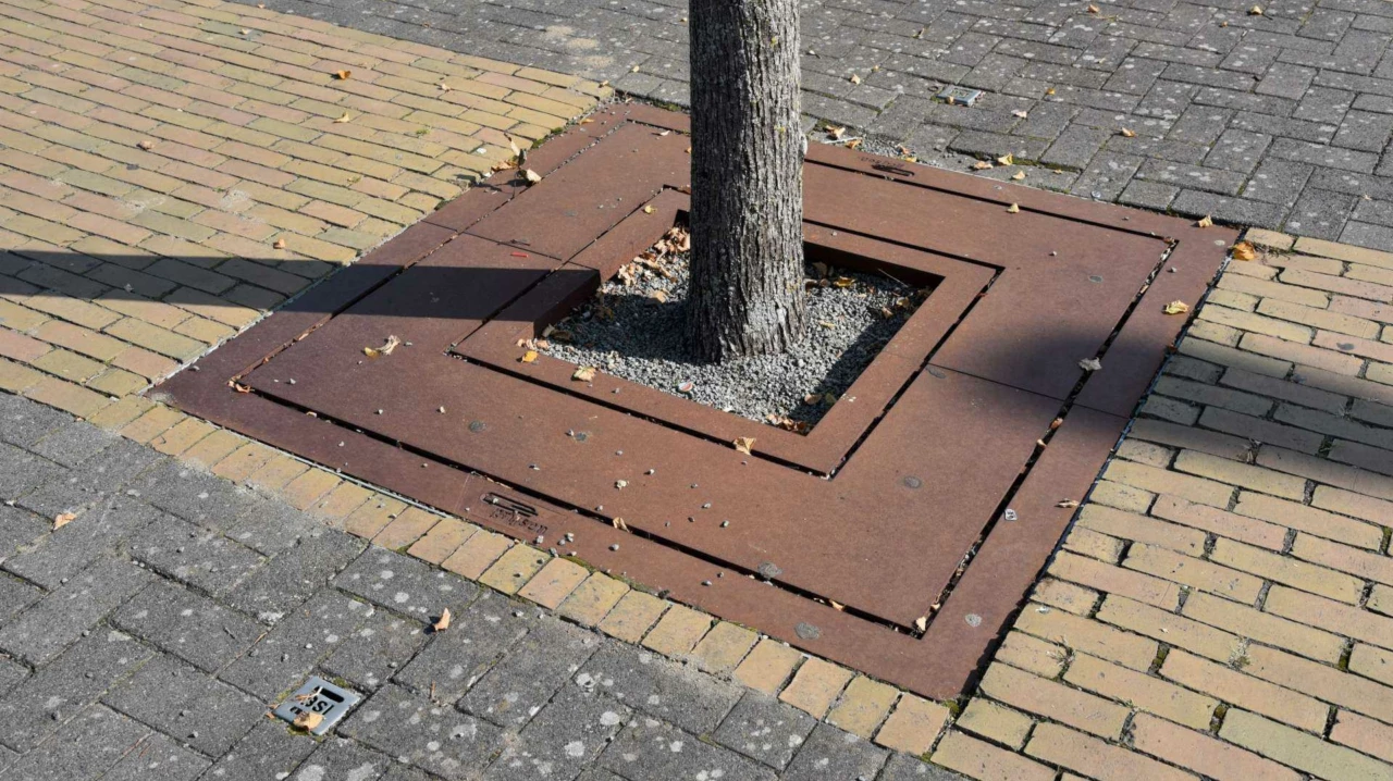 Boomrooster Square voor de openbare ruimte