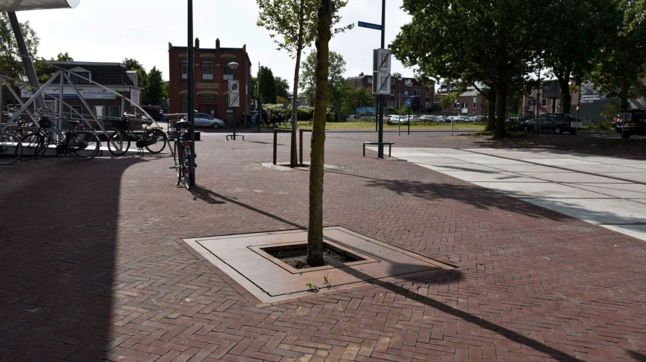 Boomrooster Square voor de openbare ruimte