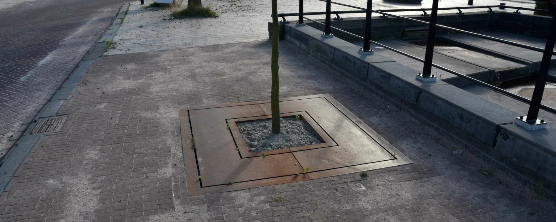 Boomrooster Square corten voor de openebare ruimte 2