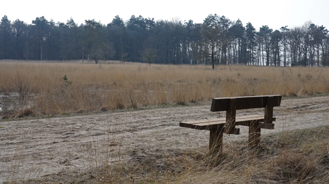 Buitenbank Natuur Comfort enkelzits met rugleuning
