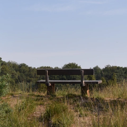 Buitenbank Natuur Comfort enkelzits met rugleuning