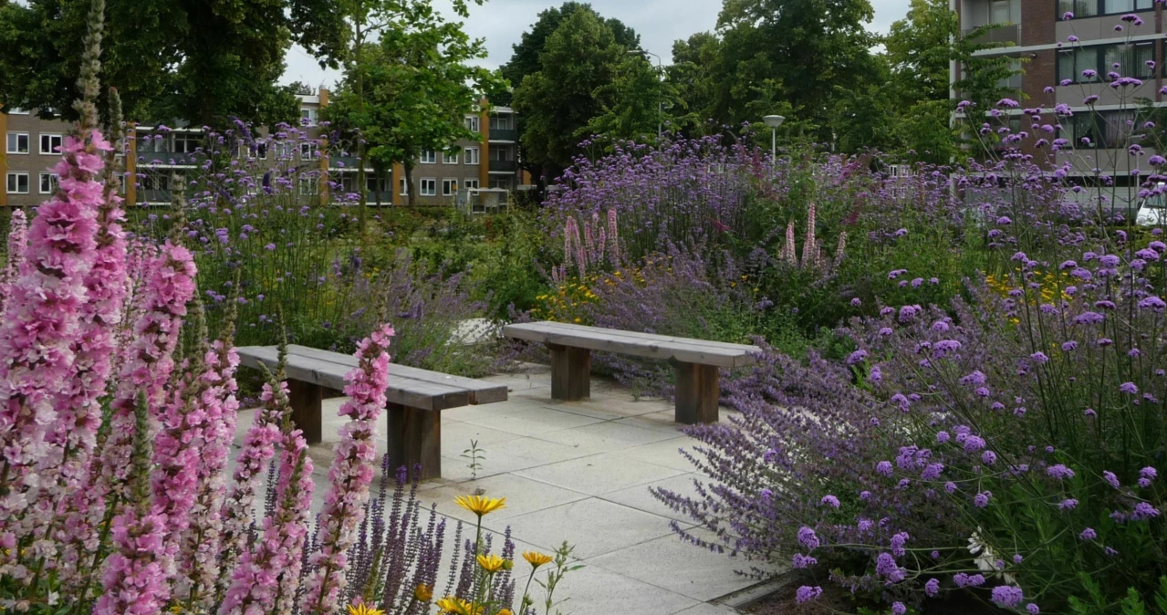 Buitenbank Natuur Comfort Enkelzits -foto Buro Lubbers