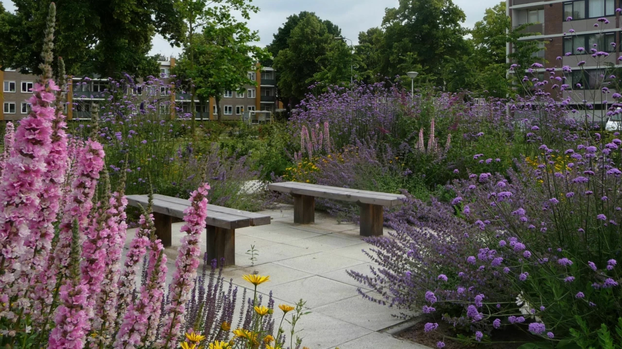 Buitenbank Natuur Comfort Enkelzits -foto Buro Lubbers