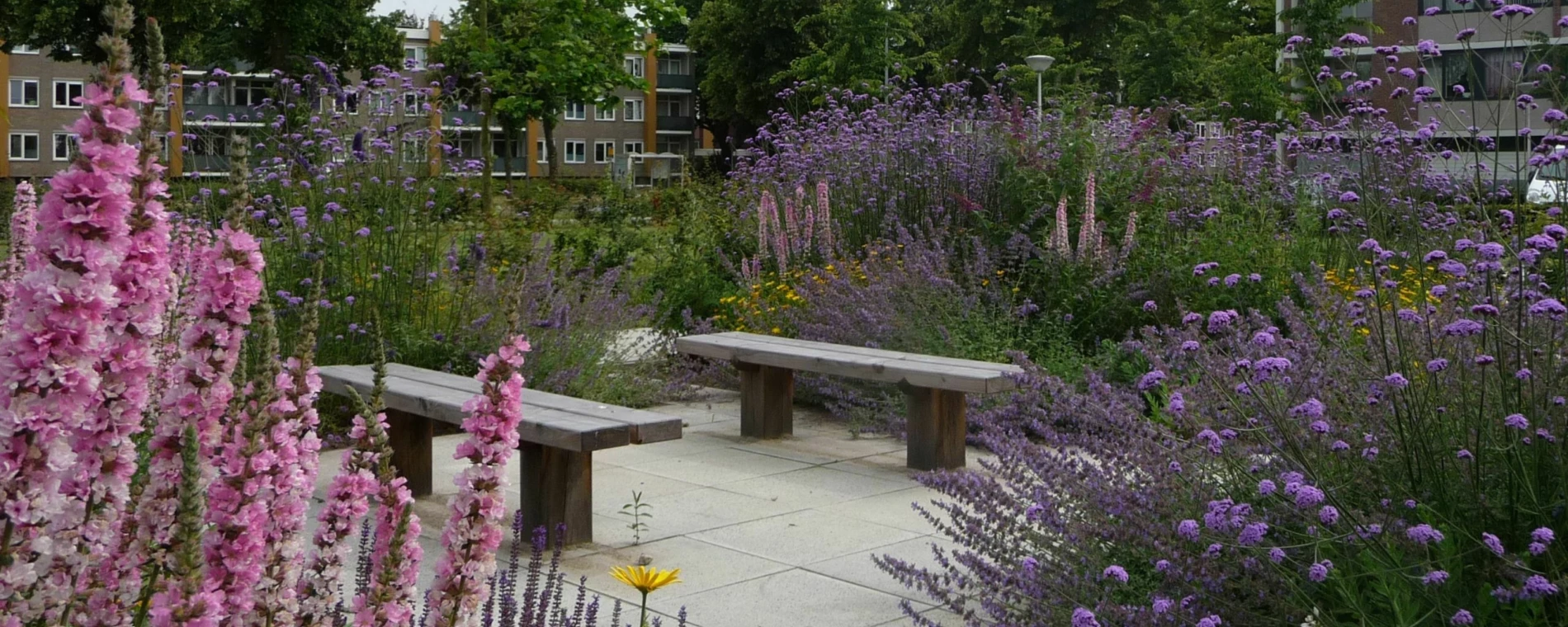Buitenbank Natuur Comfort Enkelzits -foto Buro Lubbers