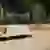 Rendering Tail (kleine Rückenlehne) Parkbänke Grijsen