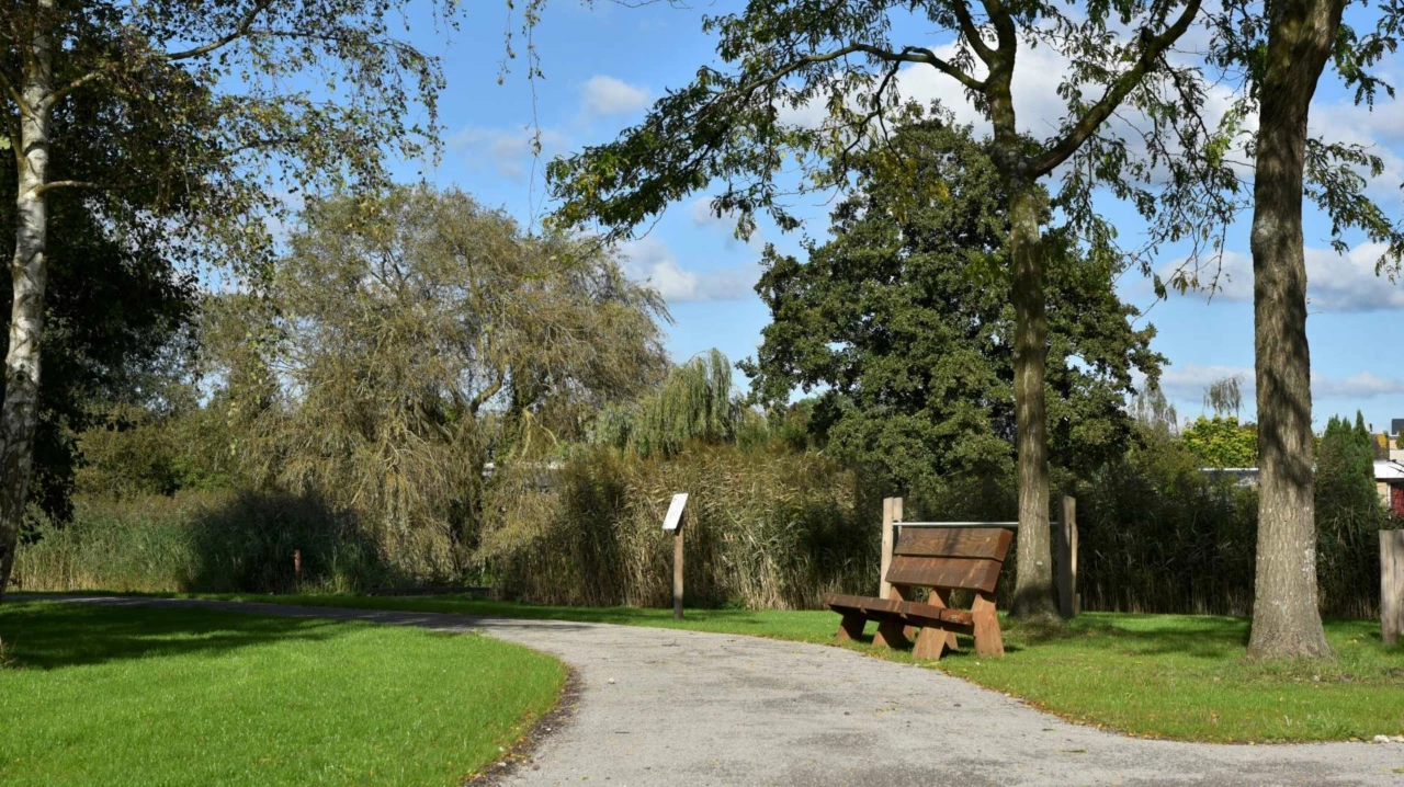 Buitenbank Vista voor de openbare ruimte 3