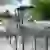 Rondo Doppel Fahrradbügel Grijsen