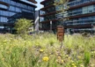 Insectenhotel op de Danzigerkade in Amsterdam