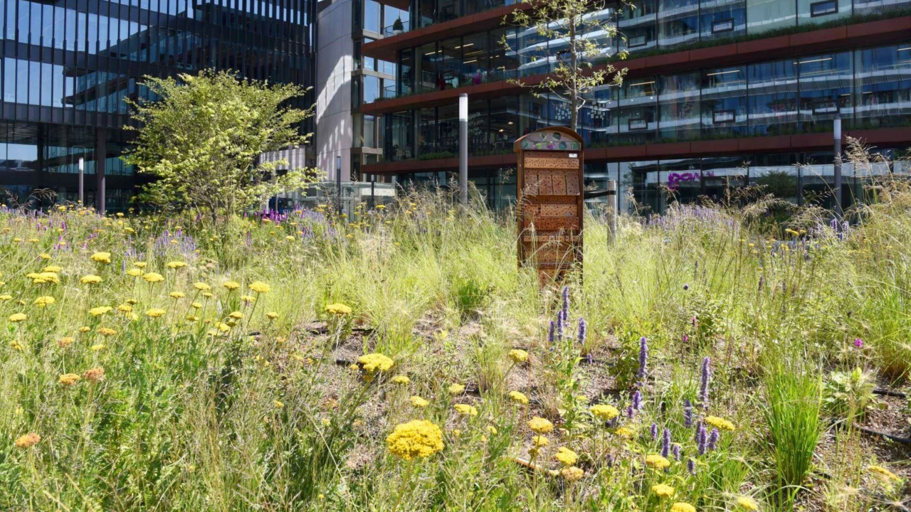 Insectenhotel op de Danzigerkade in Amsterdam