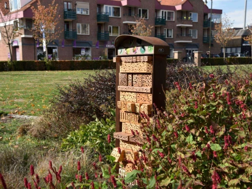 Insektenhotel Grijsen