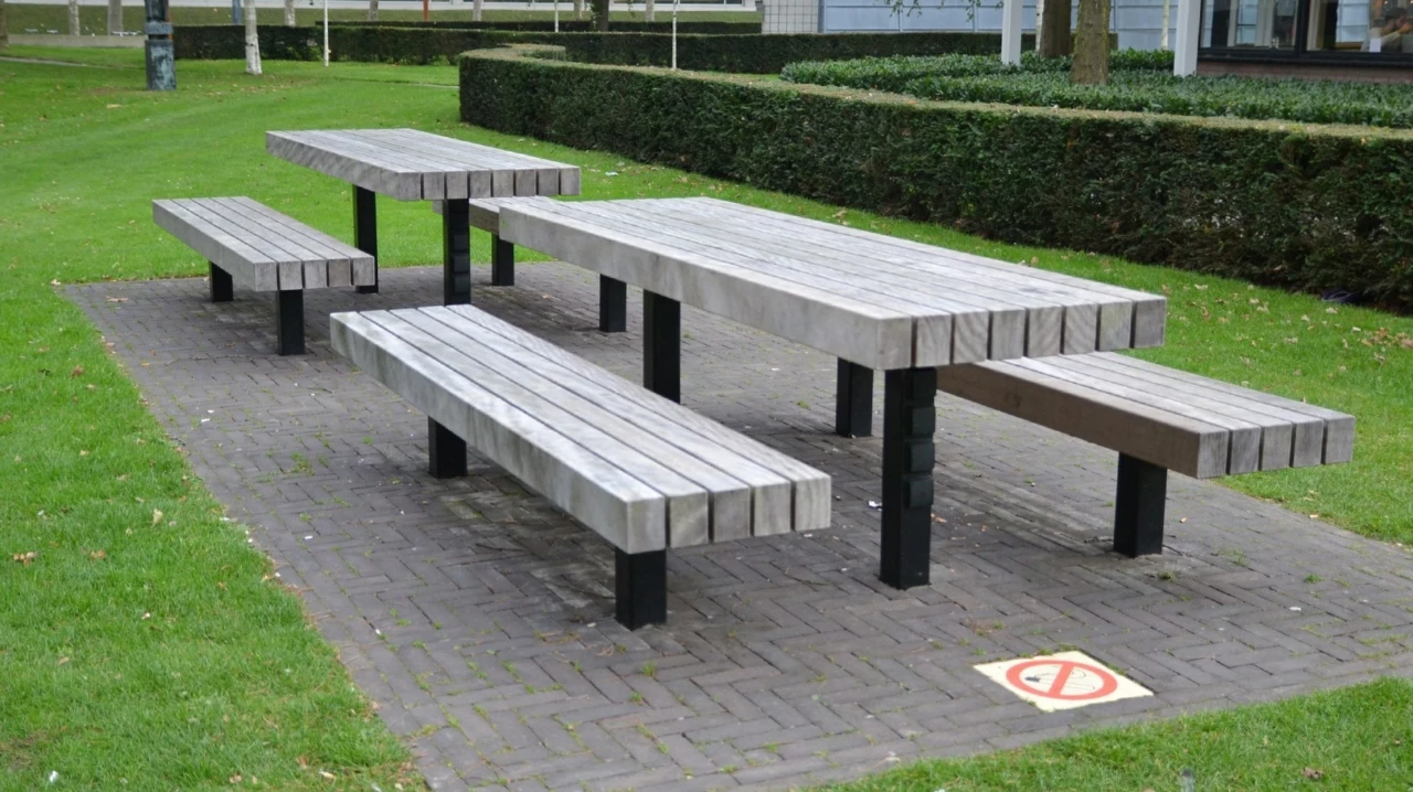 Picknickset Plane voor de openbare ruimte