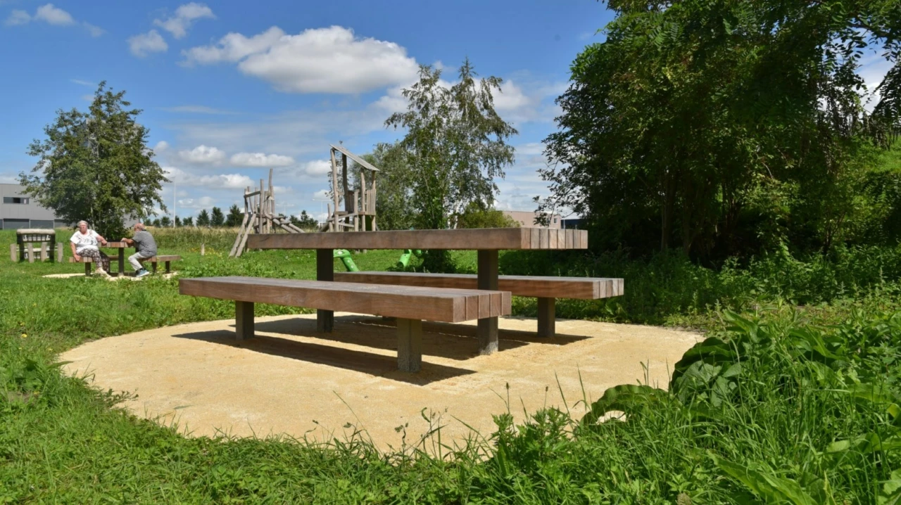 Picknickset Plane voor de openbare ruimte 2