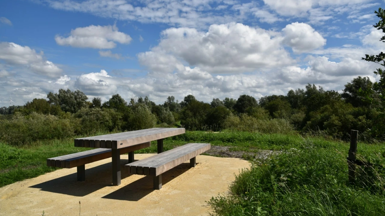 Picknickset Plane voor de openbare ruimte 5