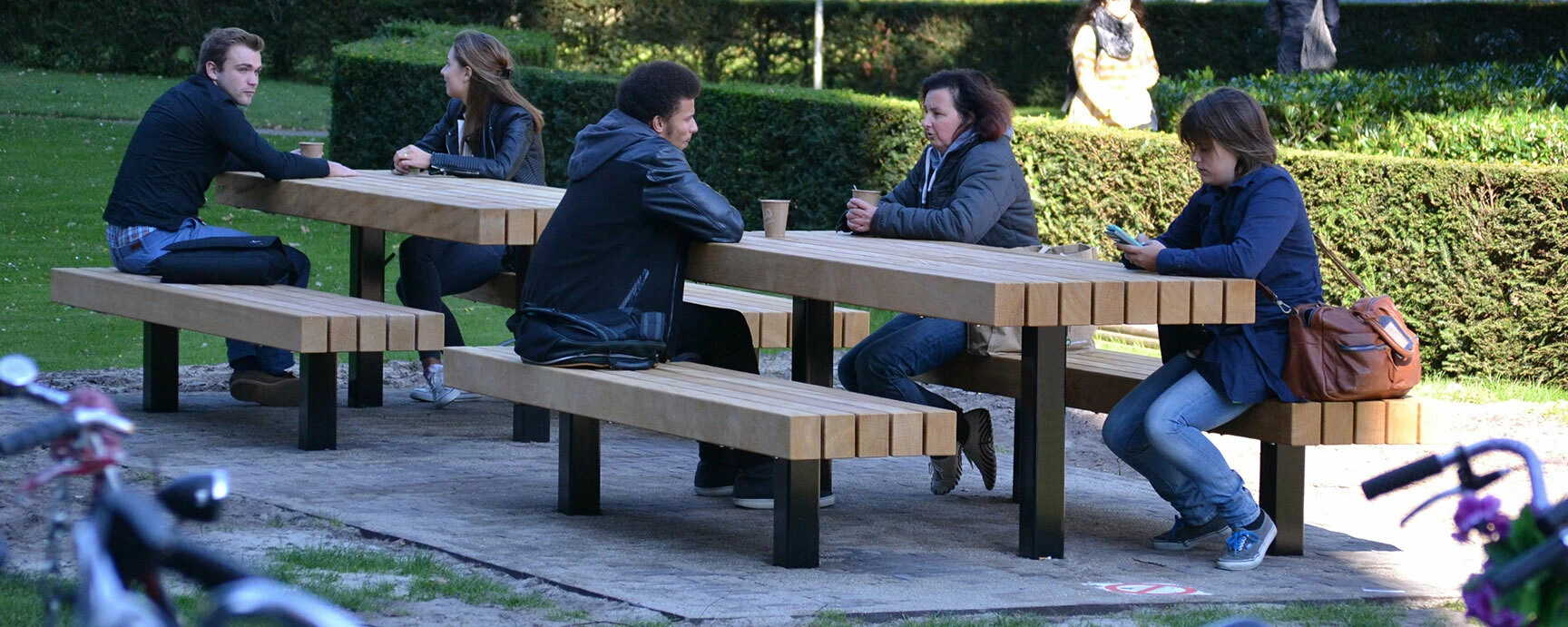 Picknickset Plane voor de openbare ruimte
