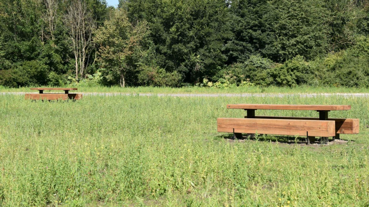 Picknickset Pure II openbare ruimte
