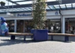 Plantenbak Solid voor de openbare ruimte