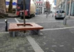 Bochum Baumbank Plane auf Baumrost