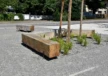 Baumbänke Pure Sondermodell Dorfplatz Stahringen