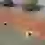 Plane Doppelsitz 2