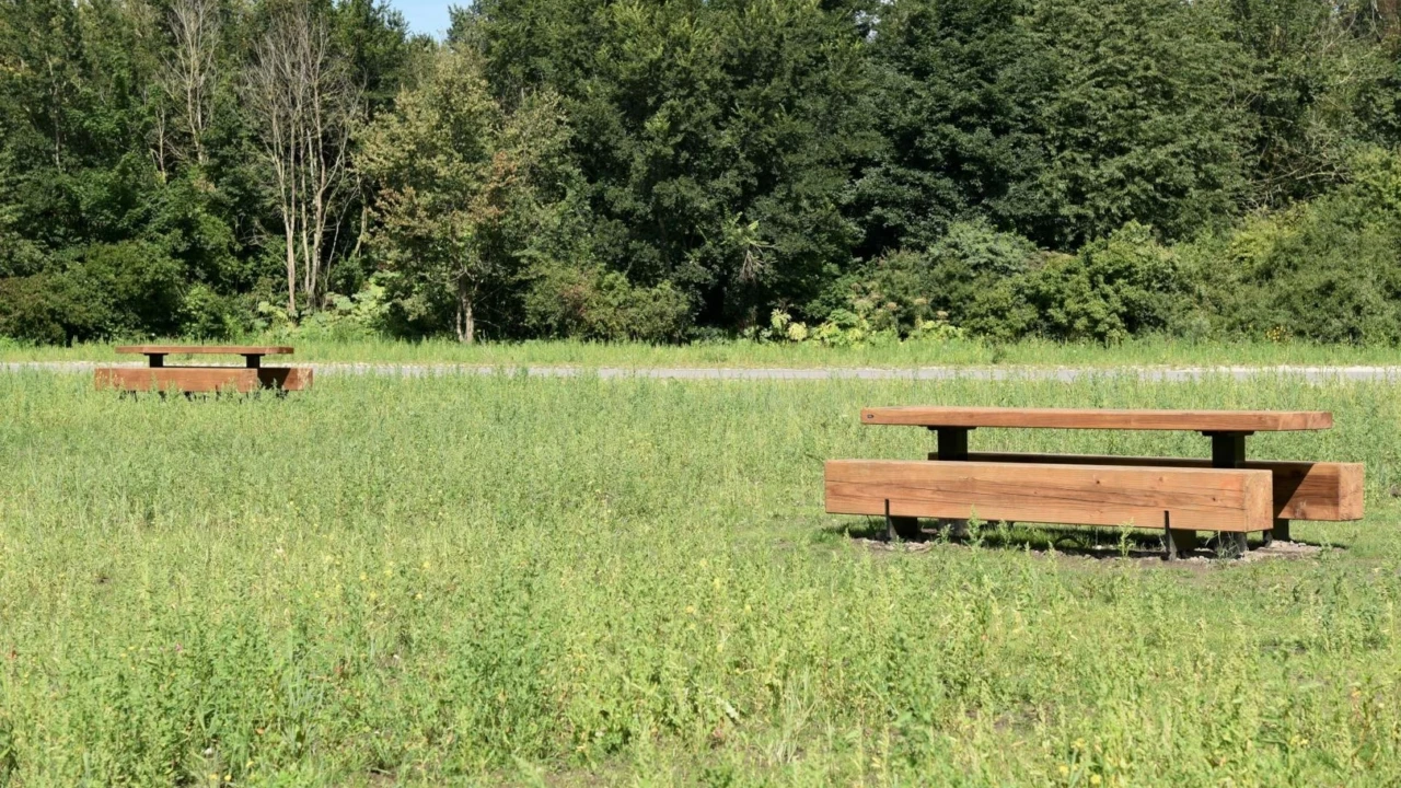 Almere Kromslootpark - Pure picknickset II voor de openbare ruimte 7