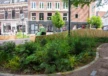 Varkensmarkt Amersfoort Loos van Vliet 5