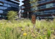 Amsterdam danzigerkade 5