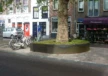 Delft Nieuwe Langendijk Boomeilanden 1