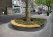 Delft Nieuwe Langendijk Boomeilanden 3