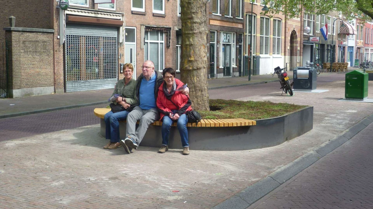 Delft Nieuwe Langendijk Boomeilanden 2