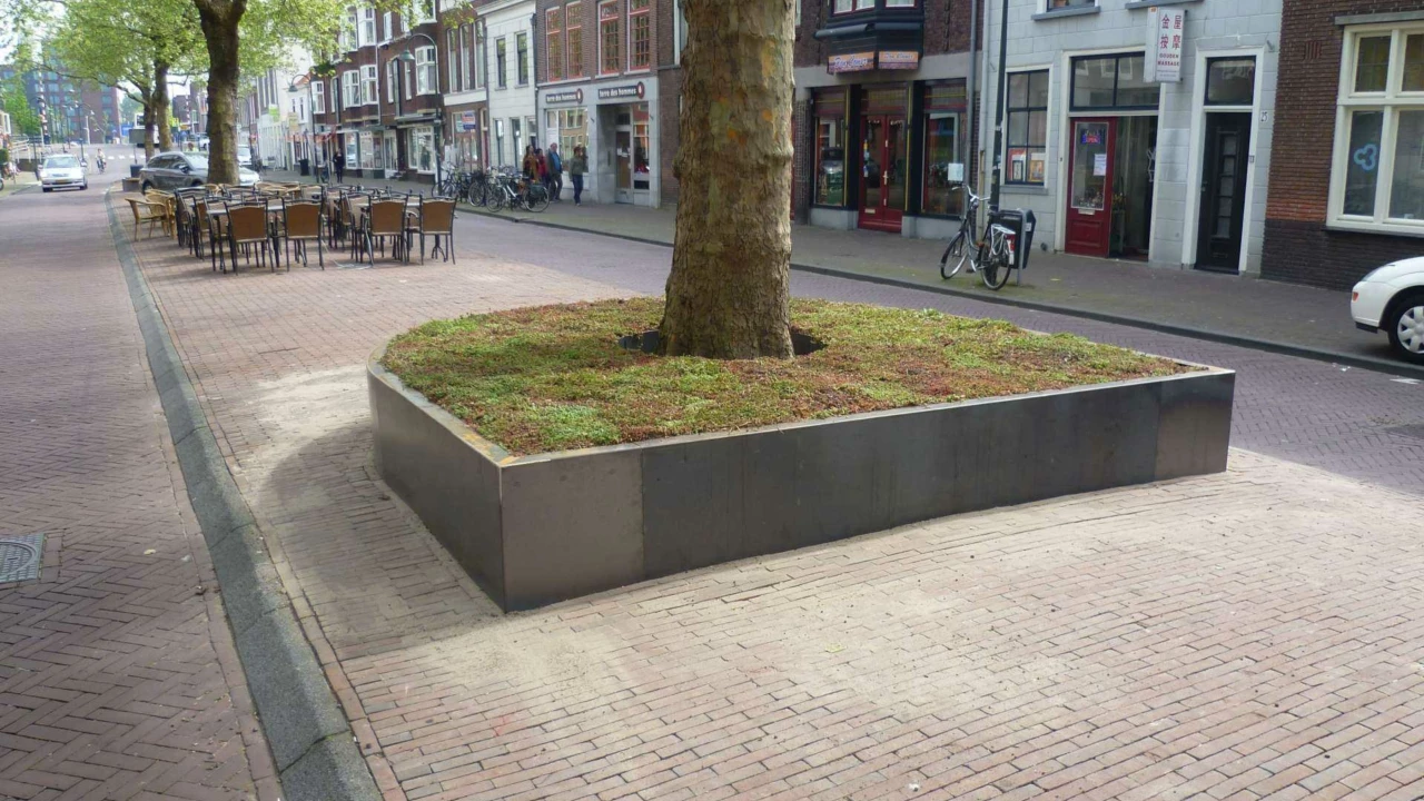 Delft Nieuwe Langendijk Boomeilanden 6