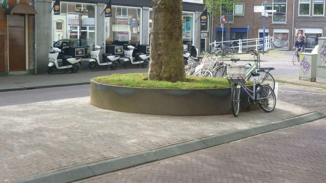 Delft Nieuwe Langendijk Boomeilanden 8