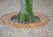 Dordrecht the movies maatwerk boomrooster cortenstaal 2