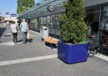 Eindhoven Woensel Woens XL solid plantenbakken plane zittingen 1