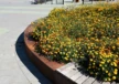 Geldrop Brede School Coevering Plantenbakken 3