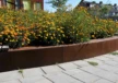Geldrop Brede School Coevering Plantenbakken 6