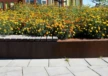 Geldrop Brede School Coevering Plantenbakken 7