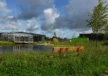 Groenlo BINX Smartility Sitzbank Natuur Comfort mit Rückenlehne 3