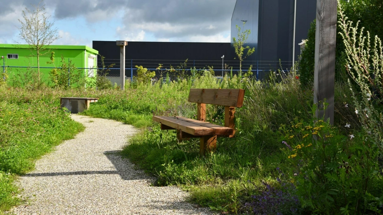 Groenlo BINX Smartility Sitzbank Natuur Comfort mit Rückenlehne 4