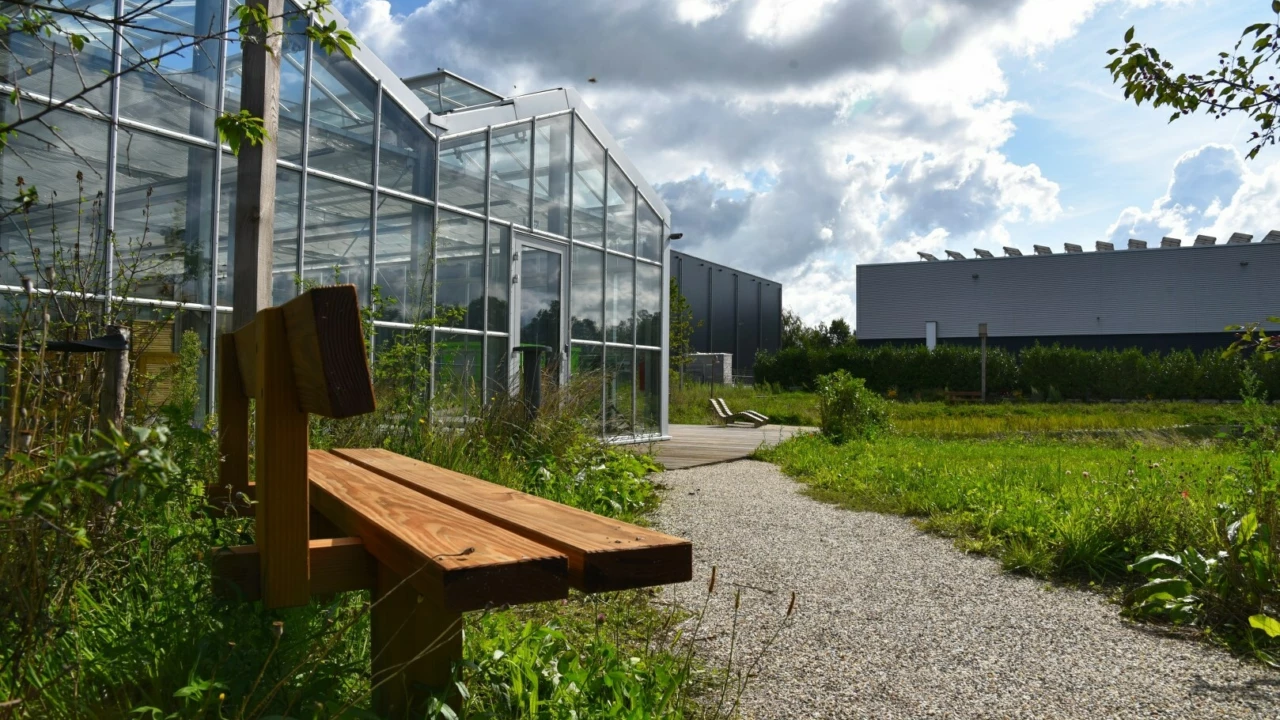 Groenlo BINX Smartility Sitzbank Natuur Comfort mit Rückenlehne 9