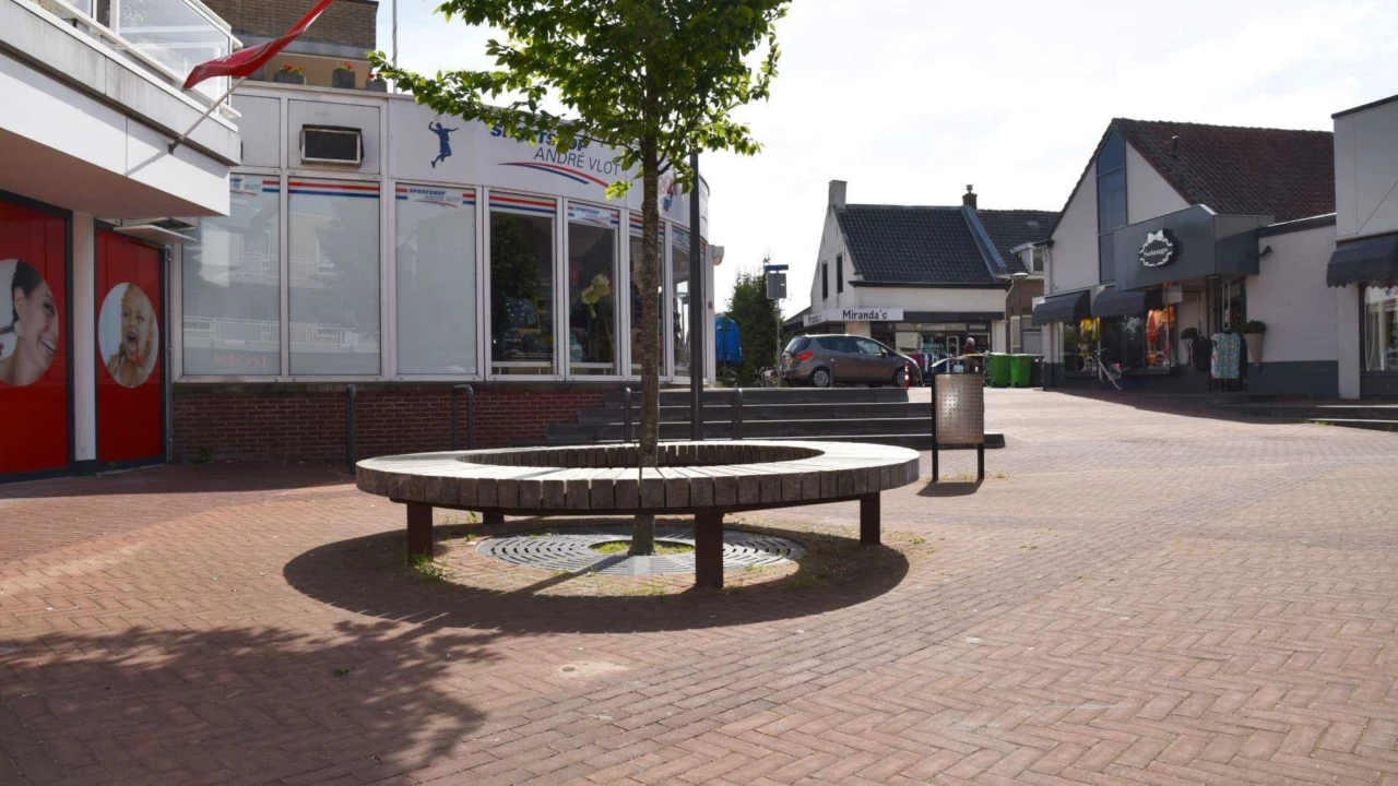Hardinxveld Giessendam Winkelgebied Den Bogerd Peulenstraat Plane 6