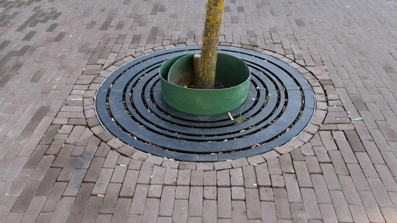 Hilversum - Gooilandplein - Circles Boomrooster voor de openbare ruimte 1